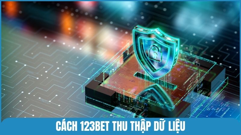 Chia sẻ cách 123bet thu thập & lưu trữ thông tin người dùng