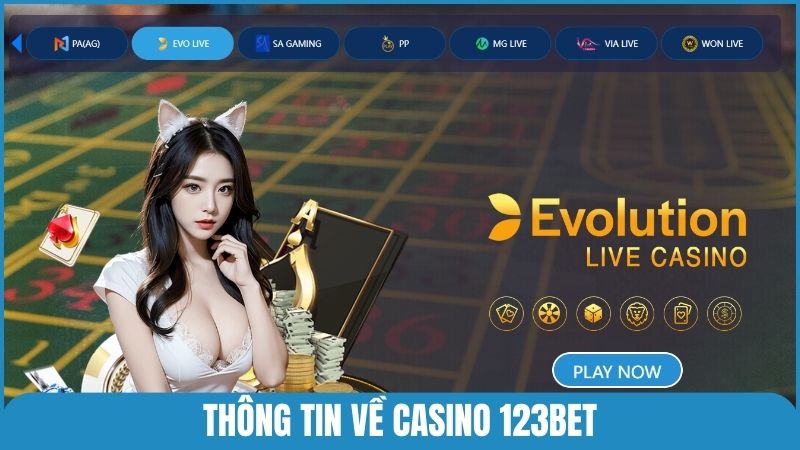 Thông tin về Casino 123bet – Sảnh cược Live từ sòng bạc quốc tế
